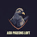 ASB pigeons loft