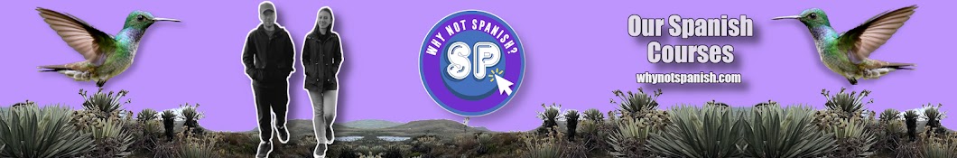 Why Not Spanish? Banner