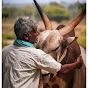 ಹಳ್ಳಿಕಾರ್ ನಾಡು ಕರ್ನಾಟಕ