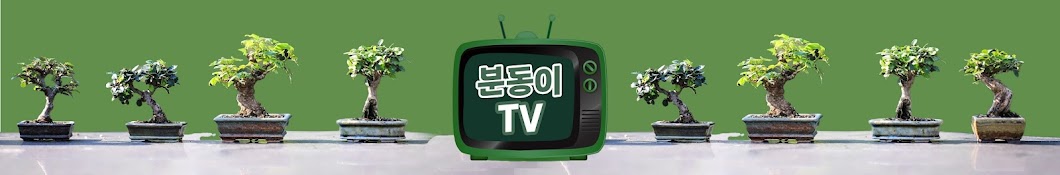 분동이TV