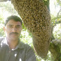 BR: THE HIMALAYAN BEE MAN