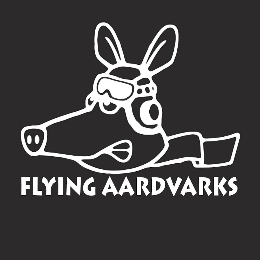 Ace the Flying Aardvark