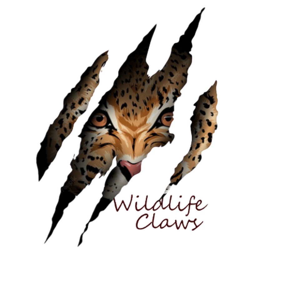 Wildlife Claws
