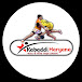 Star Kabaddi Haryana