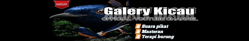 galery kicau