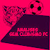 Analises do Sem Clubismo FC