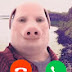 John Pork