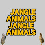 Jangle Animals