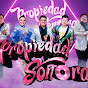 PROPIEDAD SONORA