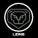 LIONS DANCE CREW