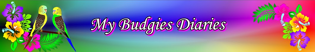 My Budgies Diaries