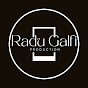 RADU GALFI Production