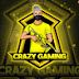 CRAZY_GAMING