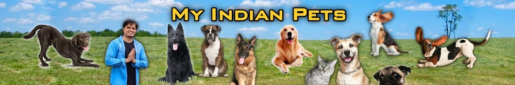 My Indian Pets