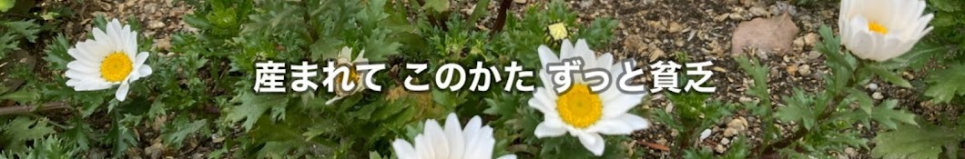 産まれてからずっと貧乏人生【よう子 60代】