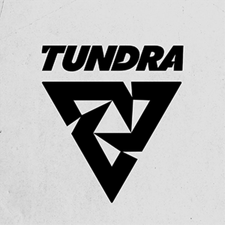 Tundra esports. Тундра еспортс. Тундра еспорт дота. Tundra Esports logo. Tundra Esports КС.