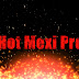 logo Hotmexipro Olea Vidal