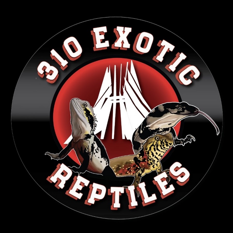 310 ExoticReptiles