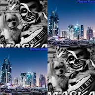 thumbnail img1x1