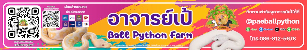 อาจารย์เป้ Ball Python Farm