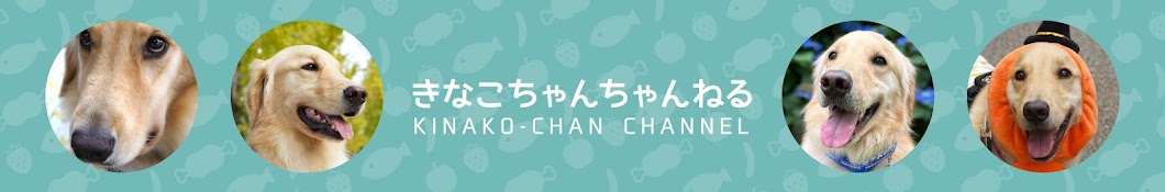 KINAKO-chan Cannel