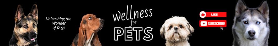 Wellness for Pets Banner