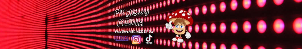 FunGuy Media Scambaits Banner
