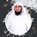 القارئ أحمد المجيديAhmad Almajedy