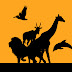 logo THE WILDLIFE FOCUS 