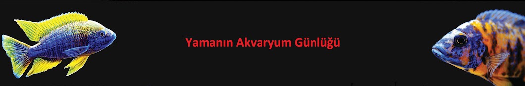 Yamanın Akvaryum Günlüğü