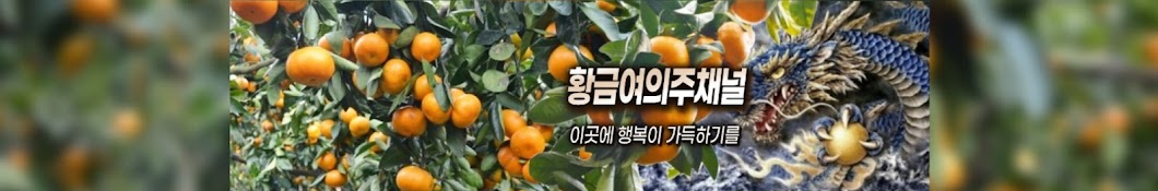 황금여의주의 힐링산책