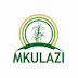 Mkulazi Holdings