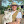 paulcuffaro avatar