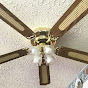 Ceiling Fans Rock