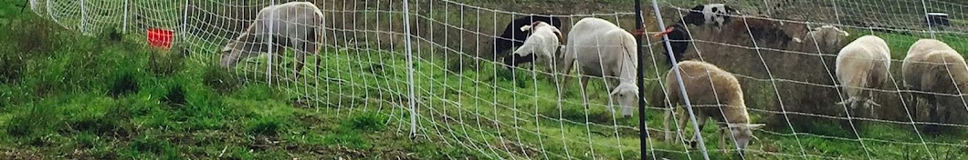 The Apprentice Farmer