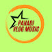 Pahadi vlogs music 