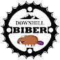 Team Downhill Biber