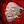 matthewsantoro avatar