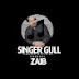 Singer Gull Zaib Hasser Official