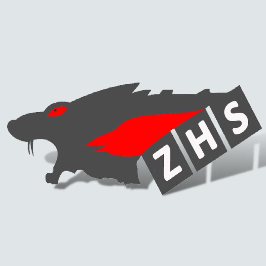 ZHS Machinery