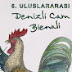 Denizli Cam Bienali