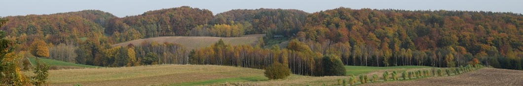 Pomorskie Biuro Planowania Regionalnego