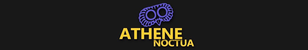 Athene noctua, philosophie à l'heure bleue 