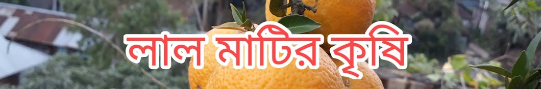 লাল মাটির কৃষি