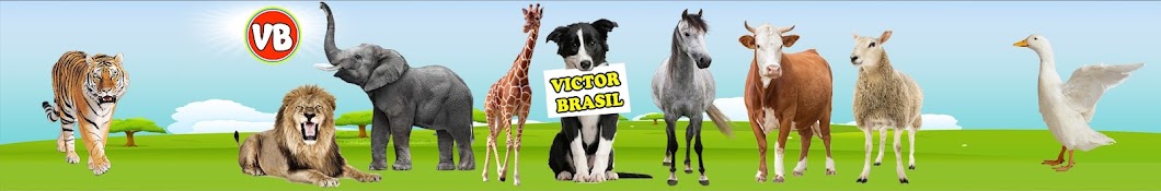 Victor Brasil Banner