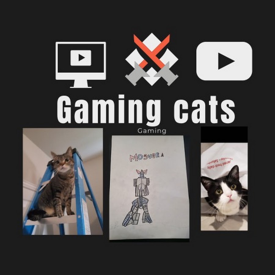 The GaMERCaT - He's a cat. He plays video games.