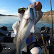 JoeShowFishing