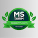 MS TARIM 