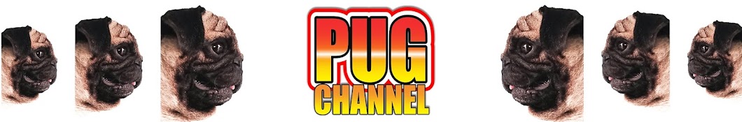 PUG CHANNEL