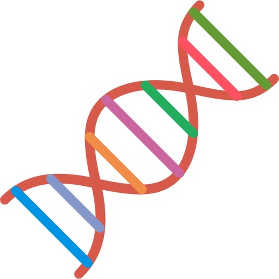 Иконка мышь вяжет ДНК